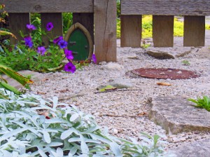 Reseed Petunia in Shawna's garden.