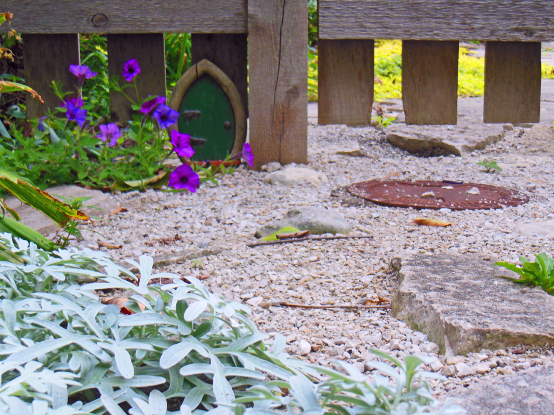 Reseed Petunia in Shawna's garden.