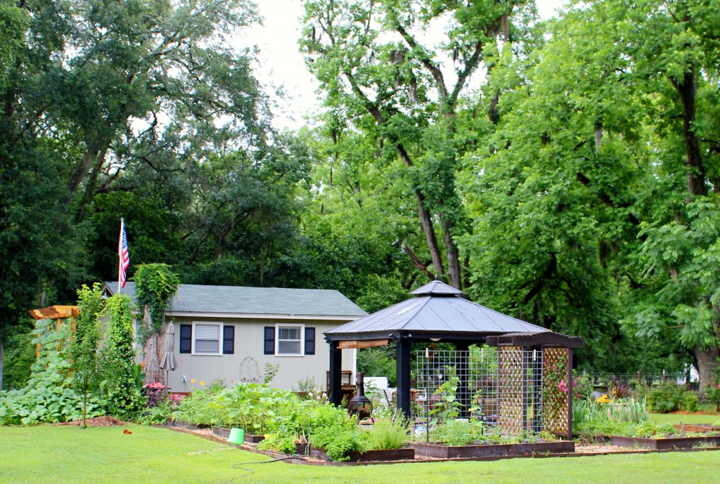 Inspirational gardening friend Carolyn Binder Guest House 