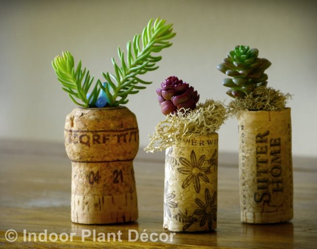 Cork Planters ⋆ Shawna Coronado