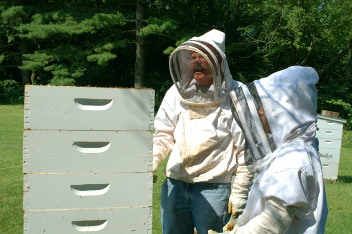 Raw Honey Bee Hive Watching The Bees 2