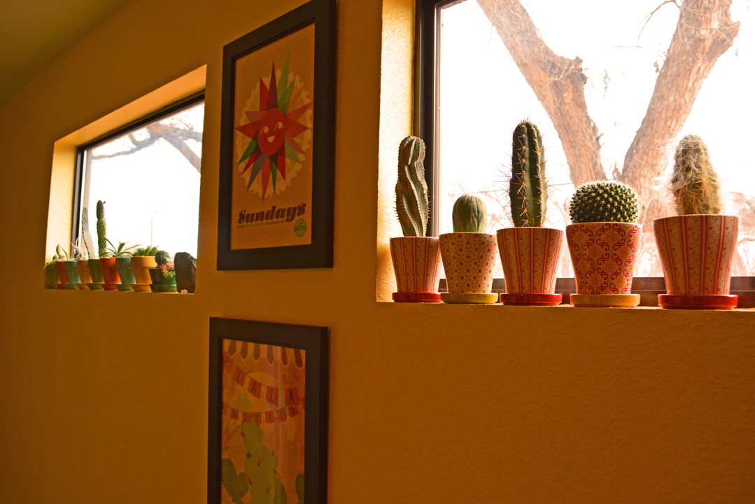 Cactus Design in High Window