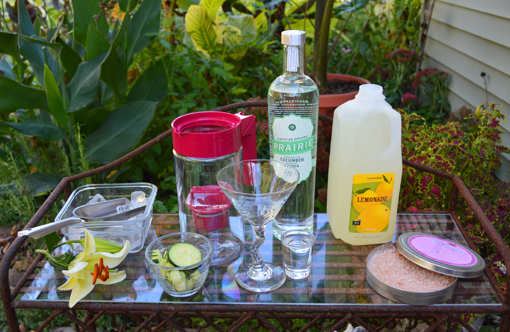 Cucumber Lemon Martini Cocktail Recipe Ingredients