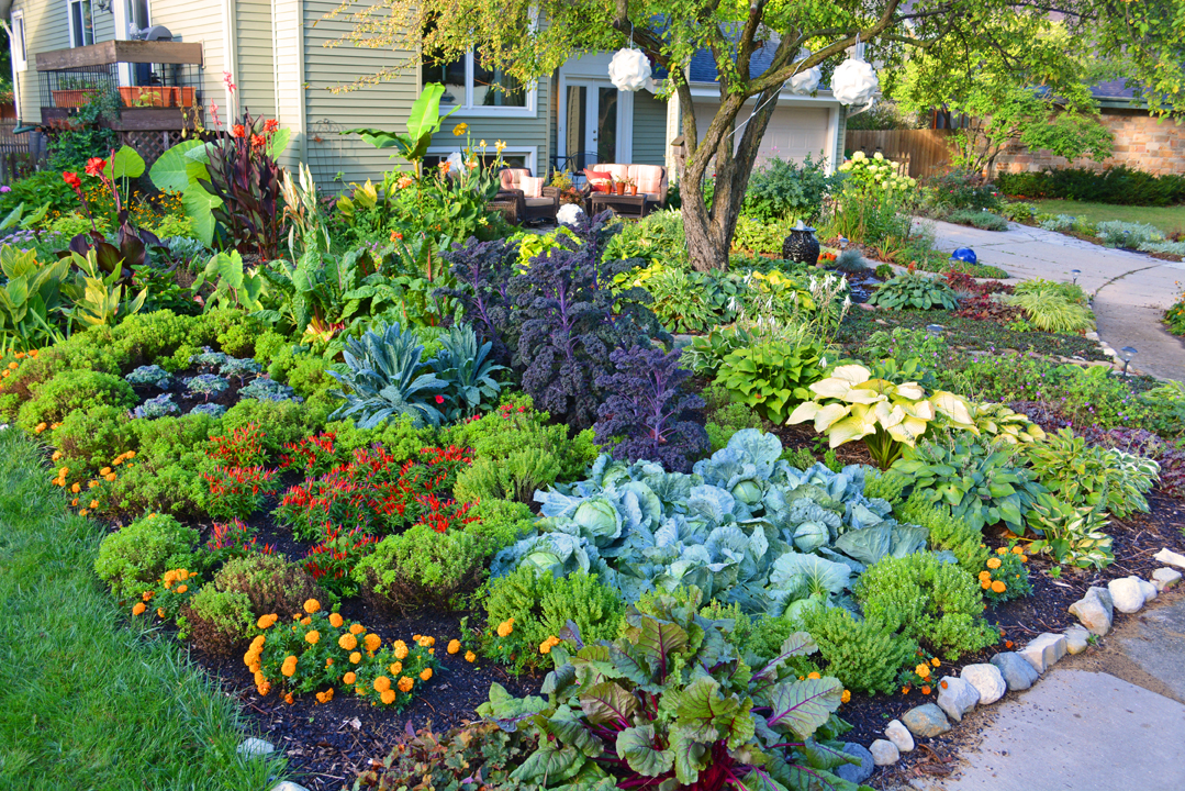 Front Lawn Vegetable Garden Design 