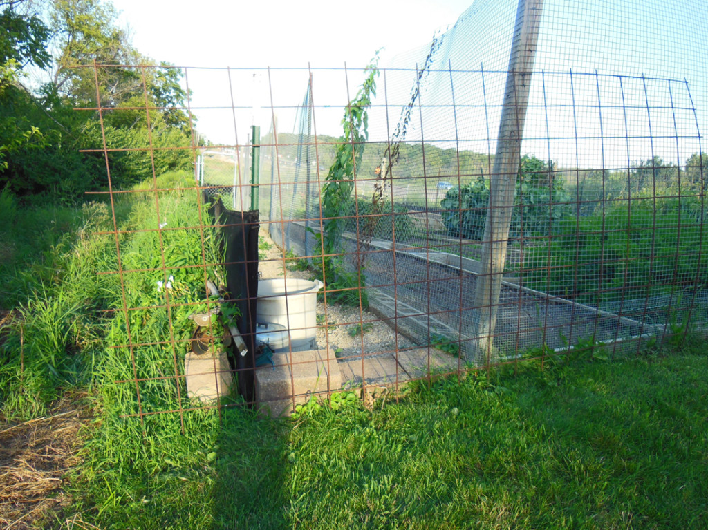 Militant Garden Fence Perimeter