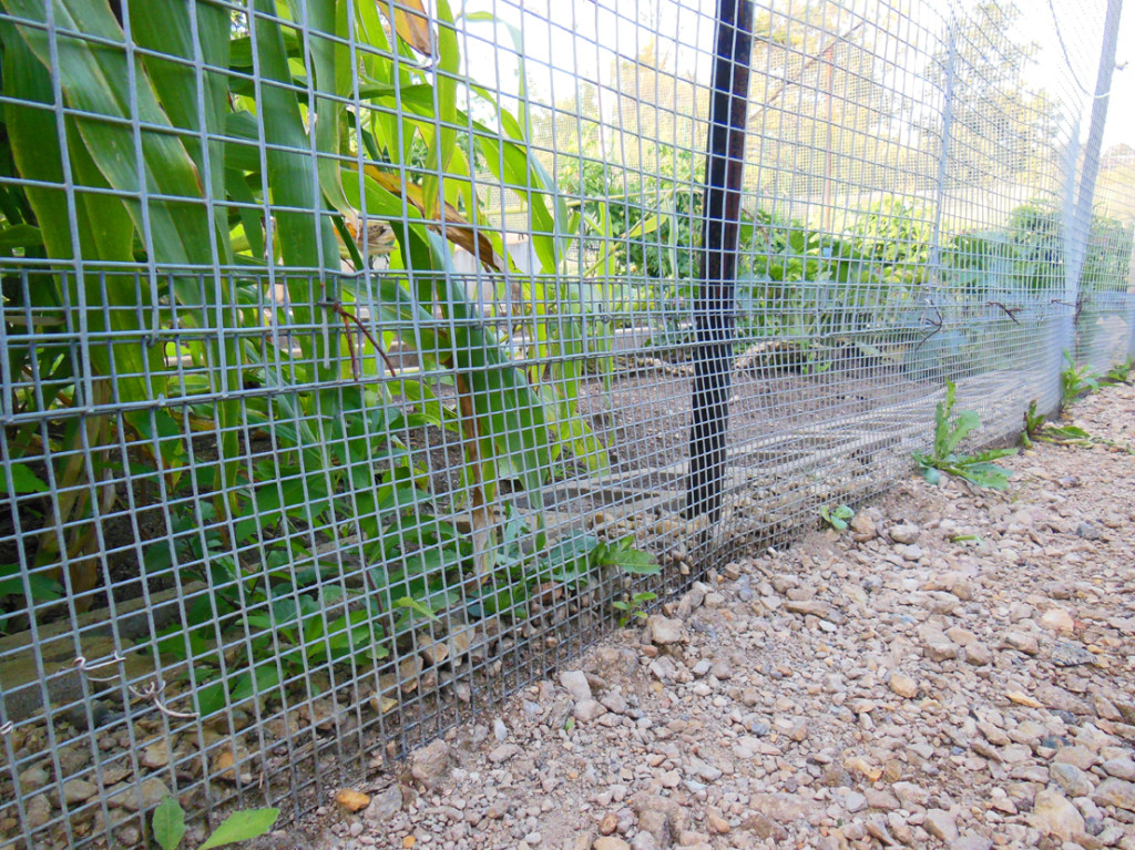 Militant Gardening Fence