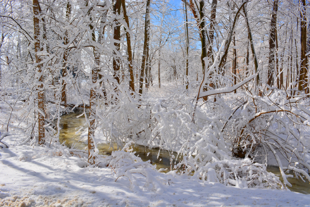 Fermilab winter snowy river photo