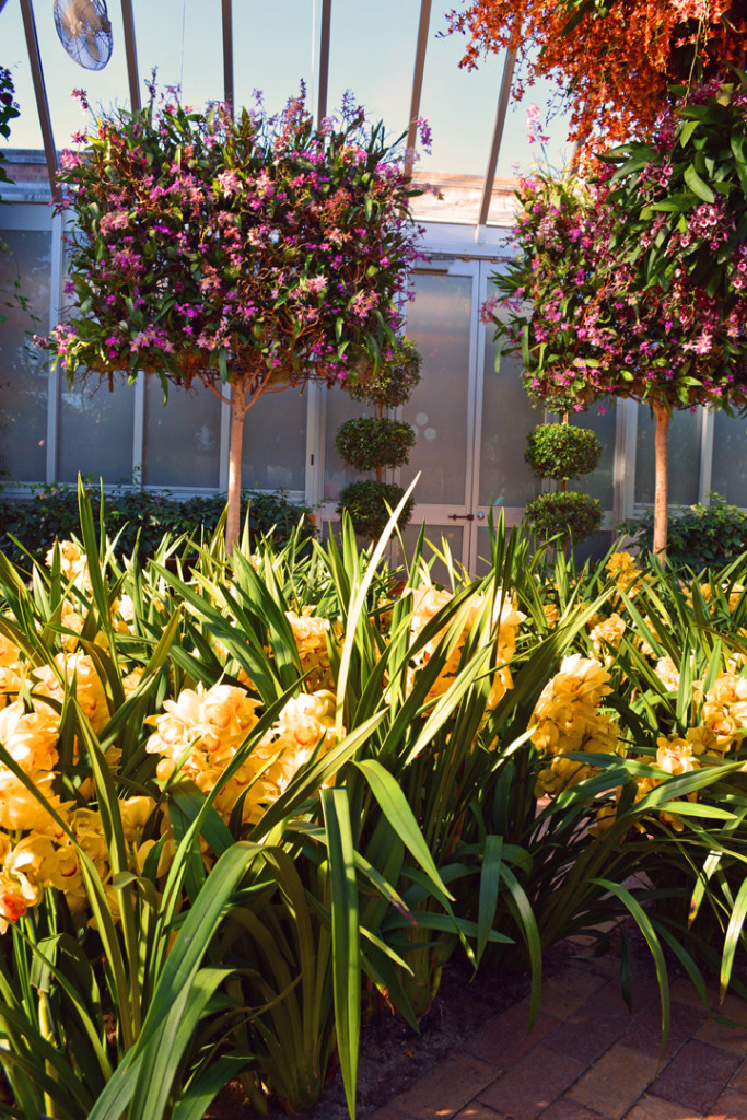 Orchid Show Espalier Trees Made From Orchids