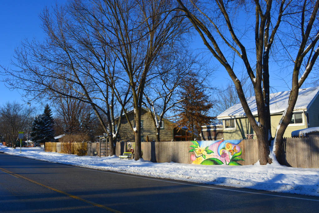 Pollinator Fence Graffiti Experiment Photo in Winter wide angle