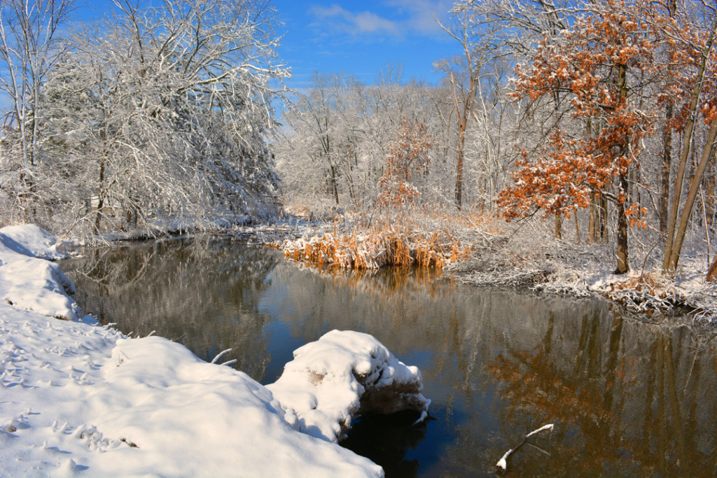 Snowy river and woods photo fermilab