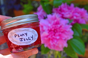 Pink Martini with Peony Jelly