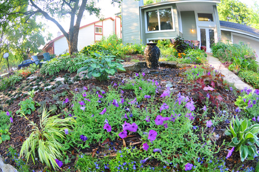 Rain water cistern and front garden