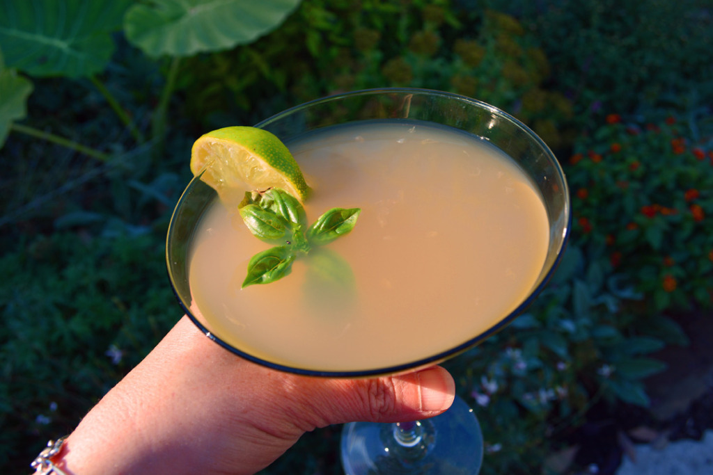 Basil Grapefruit Martini Cocktail Recipe