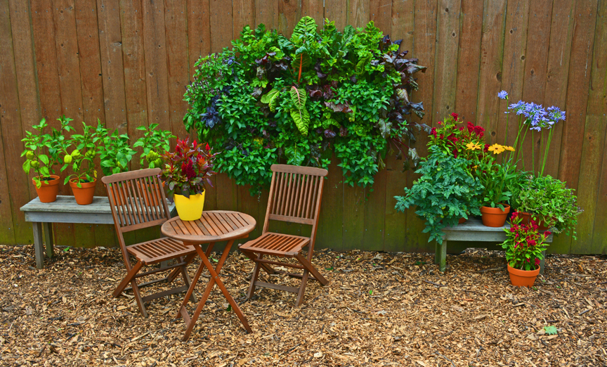 Living Wall Culinary Kitchen Garden With Vegetables