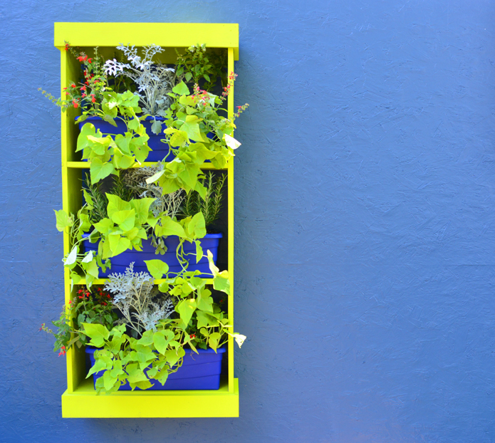 Earthbox Living Wall Urban Water-Saving Garden
