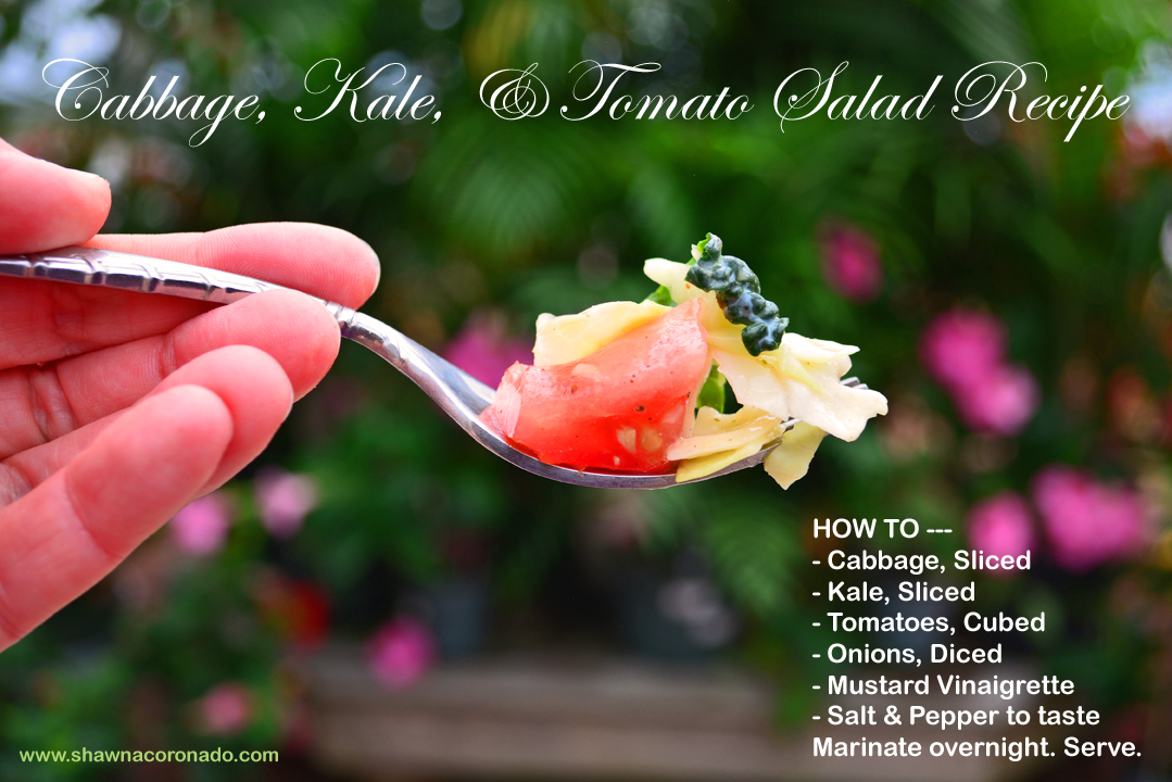 Vegan Cabbage Kale and Tomato Salad Recipe
