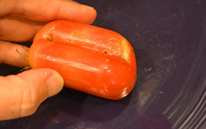 Heart Shaped Tomato Just Removed From Veggie Mold