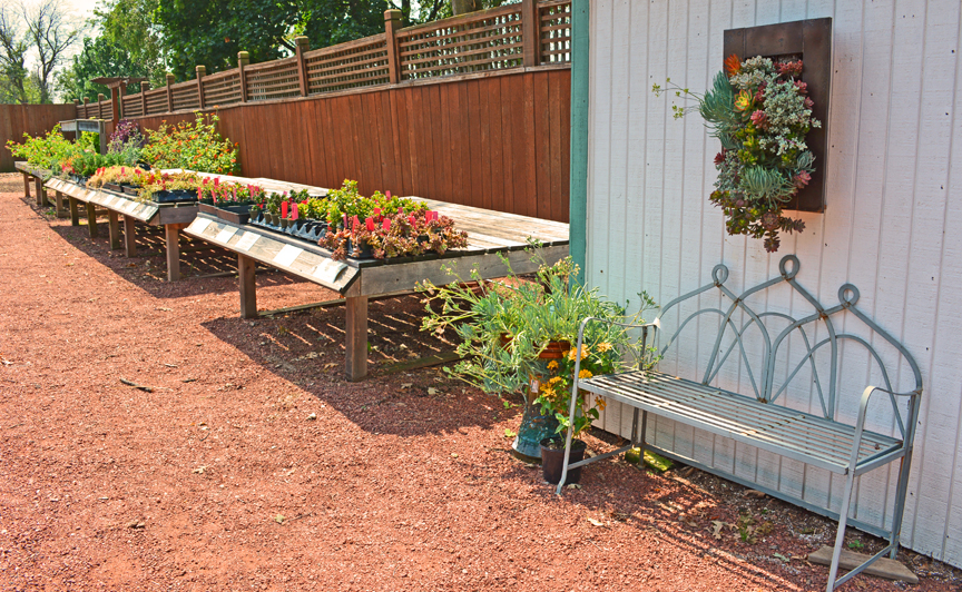 Succulent Living Wall Garden at Nursery