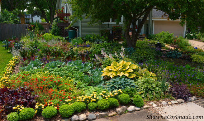 How To Build A Rainbow Garden