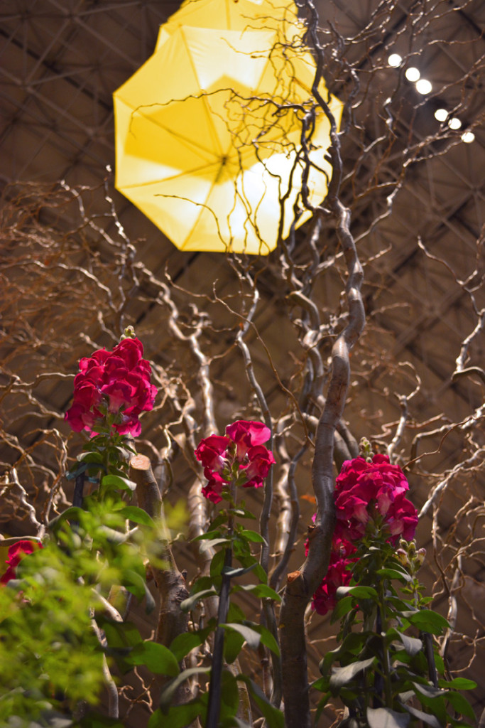 Umbrellas at the Chicago Flower and Garden Show