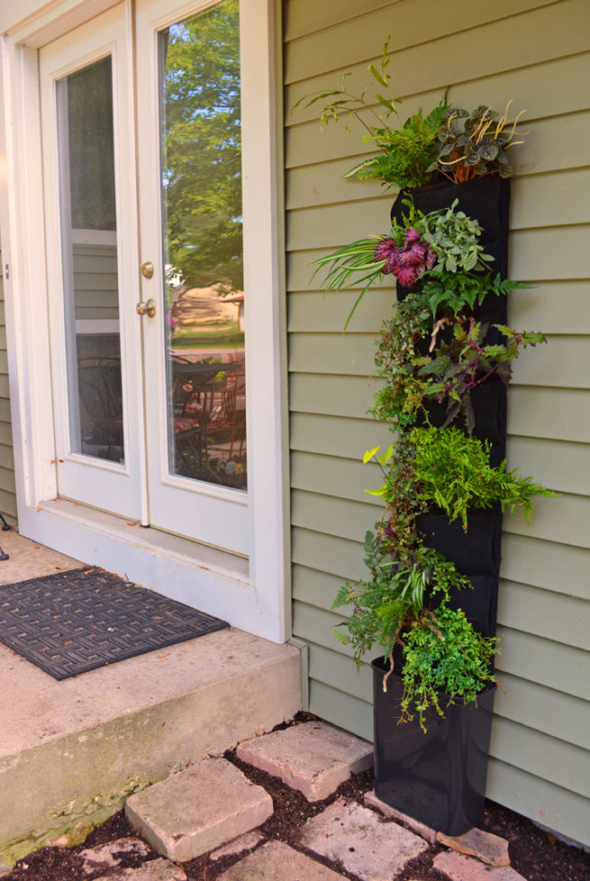 An Easy Living Wall Entry Garden