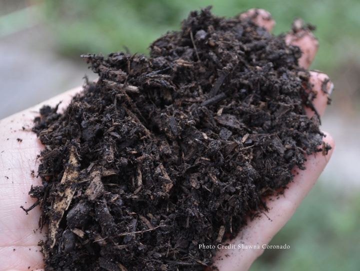 Kellogg Garden Biochar Soil 2