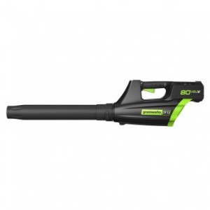 GreenWorks Leaf Blower