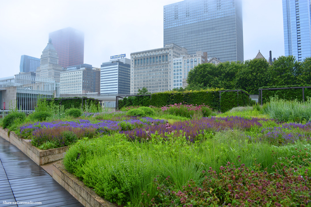 Lurie Garden in the Fog by Shawna Coronado