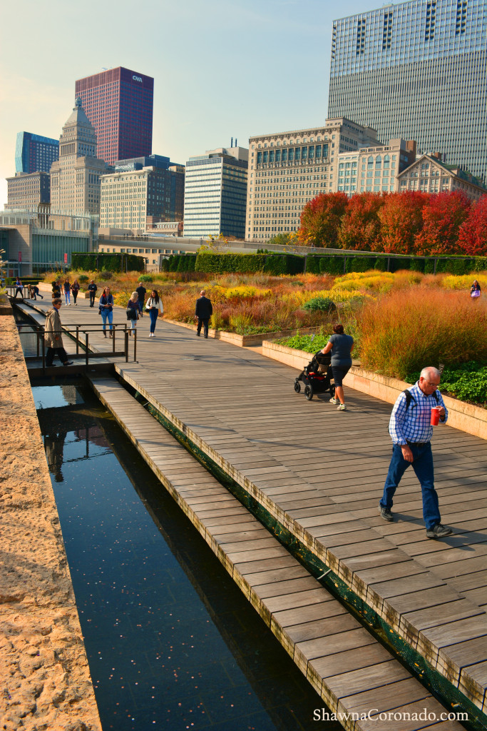 Fall Lurie Garden Walk © Shawna Coronado.jpg