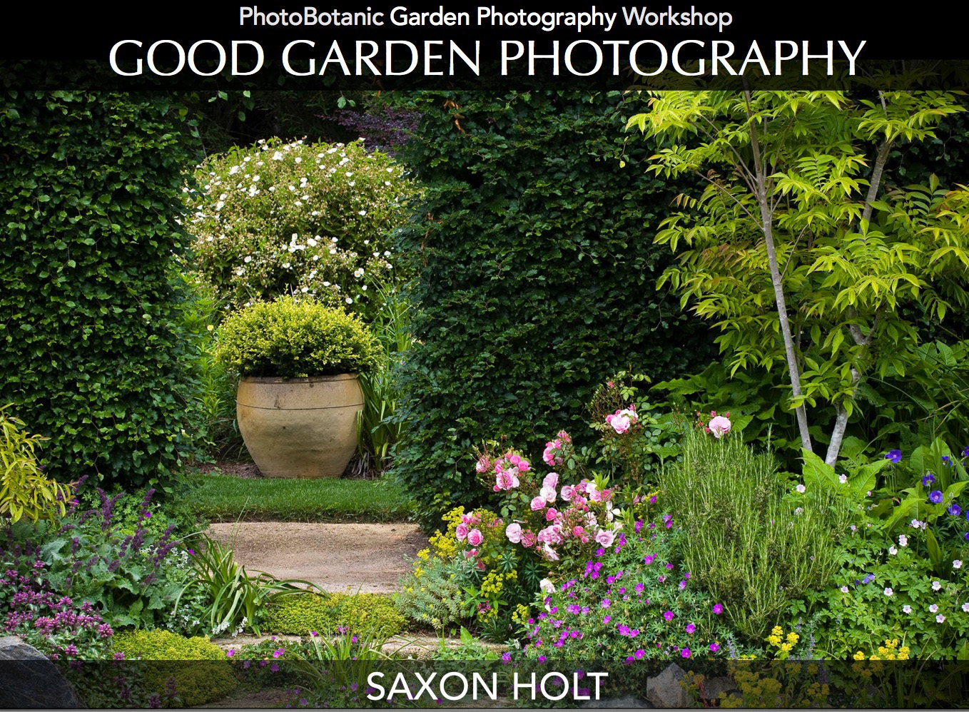 Saxon Holt Good Garden Photography