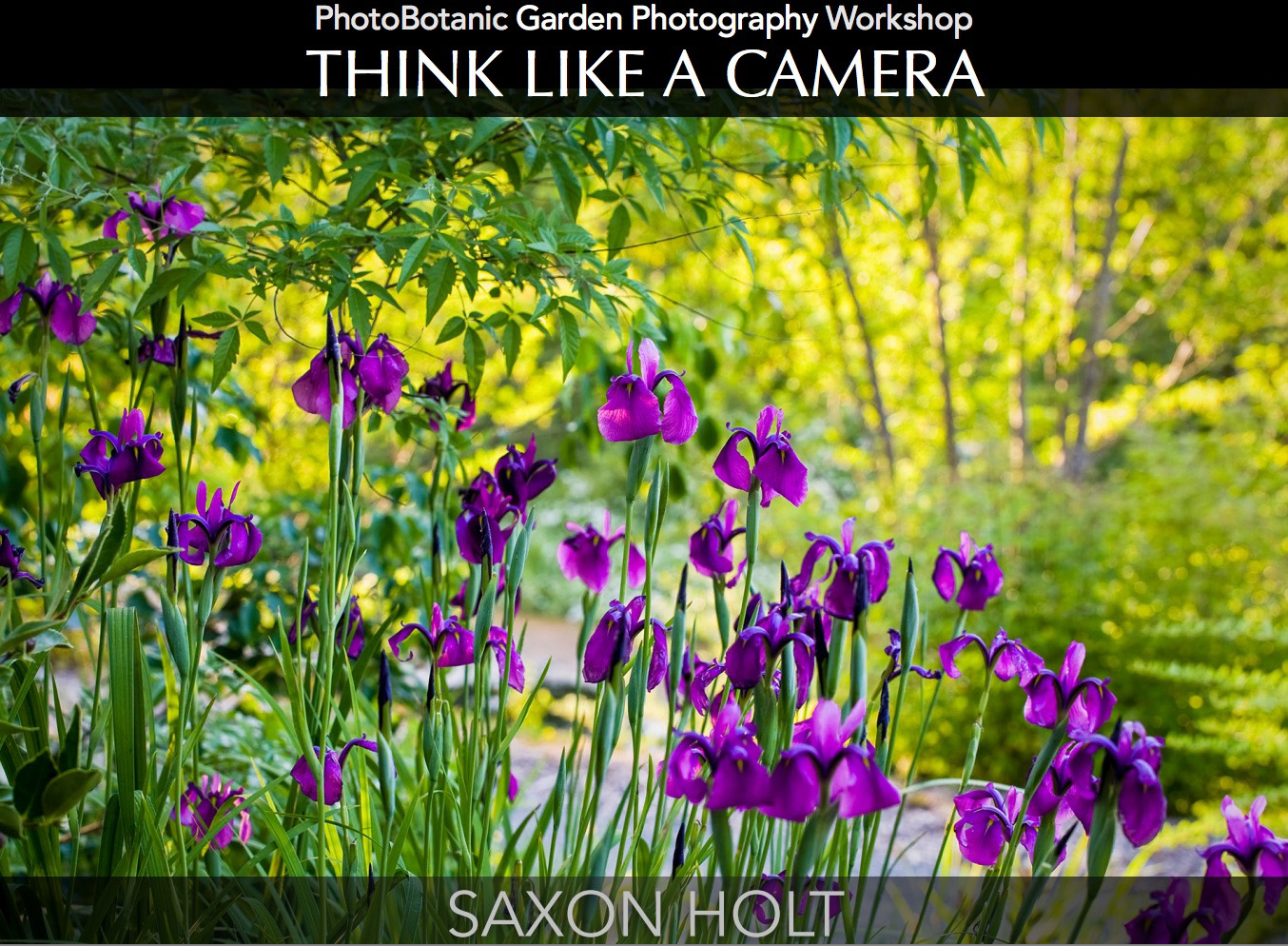 Saxon Holt Think like a camera