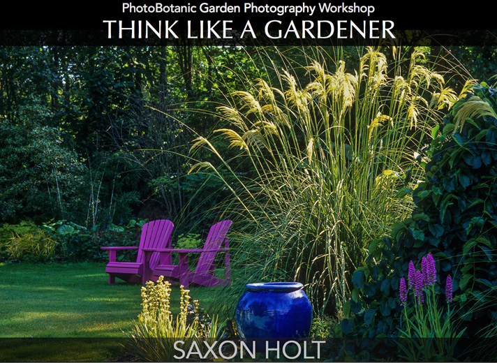 Saxon Holt Think like a gardener