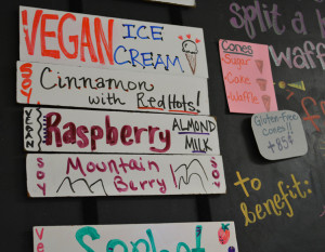 Ice Cream Alternatives