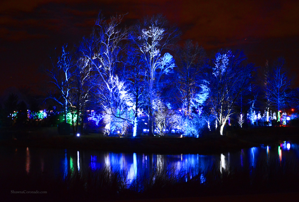 illuminations morton arboretum