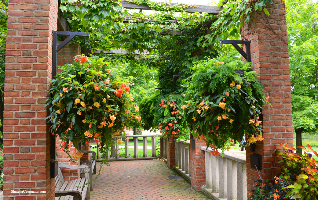 Enabling Garden Hanging Baskets to Lower