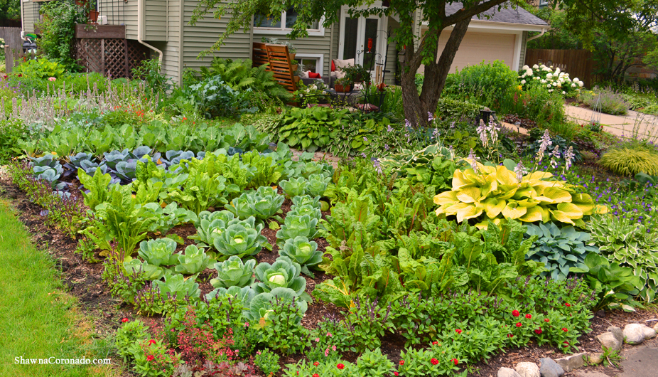 Front Lawn Vegetable Garden Design - Shawna Coronado