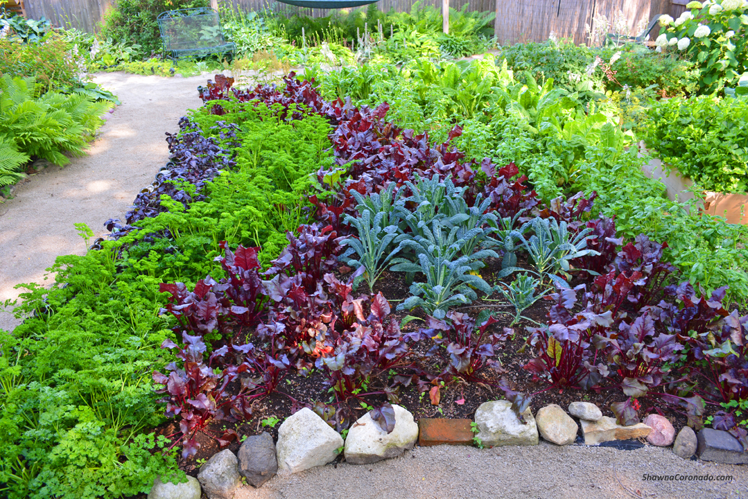 How to Design a Wavy Garden Bed © copyright Shawna Coronado