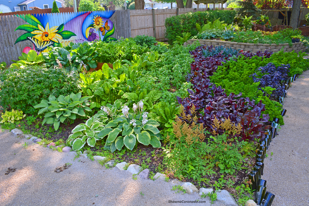 How to Design a Wavy Garden Bed with Path © copyright Shawna Co