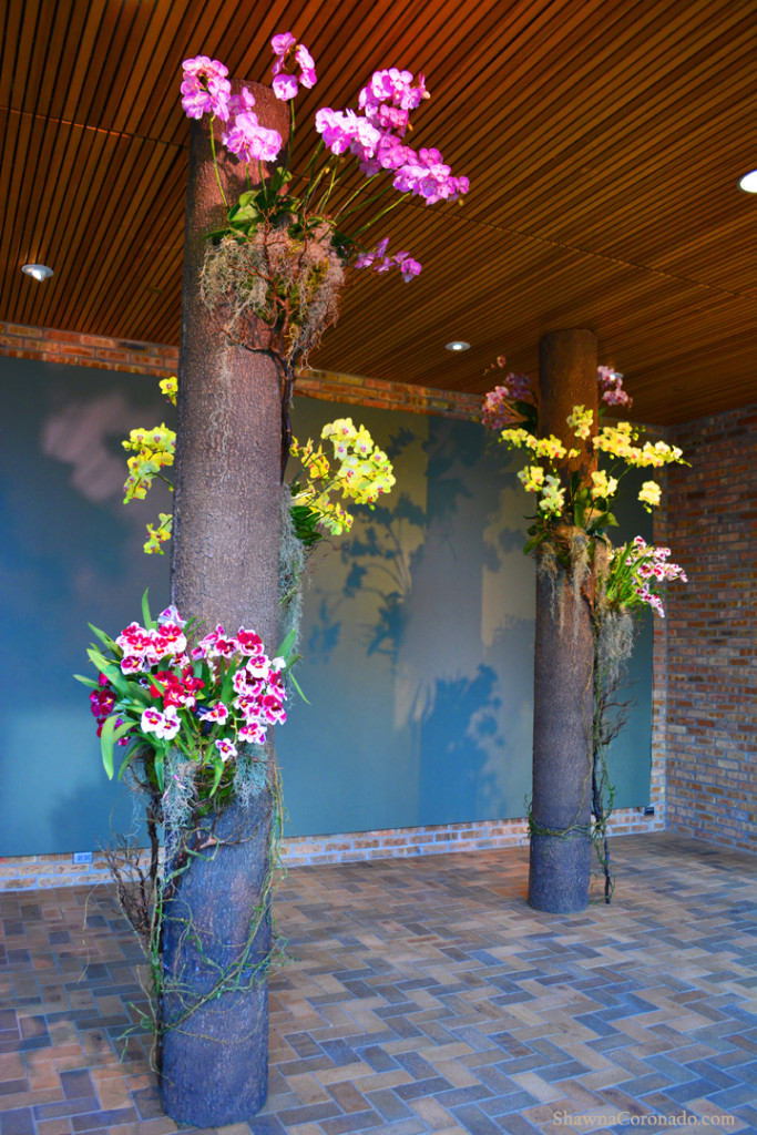 Chicago Botanic Orchid Show Orchid Columns