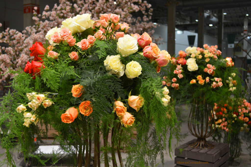 Roses at Marianos Display