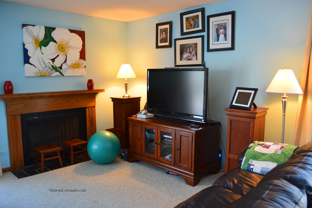 LED Lightbulb Experiment in Family Room