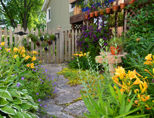 How To Plant an Elevated Garden Bed - Shawna Coronado