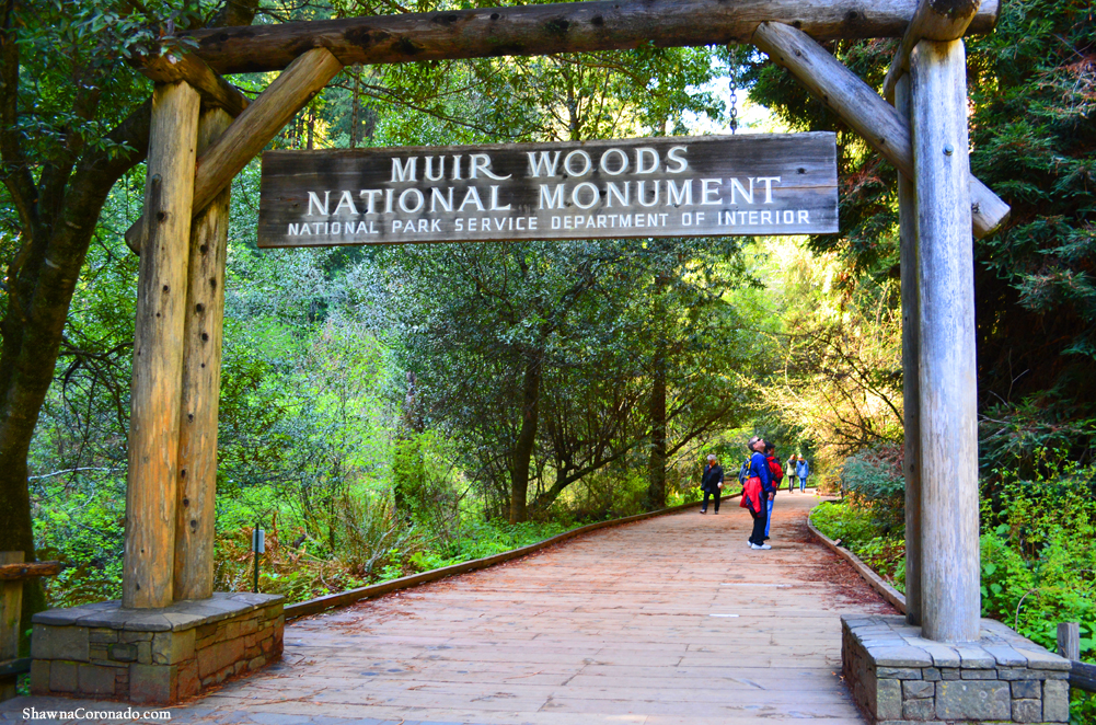 Muir Woods National Park Entrance copyright Shawna Coronado