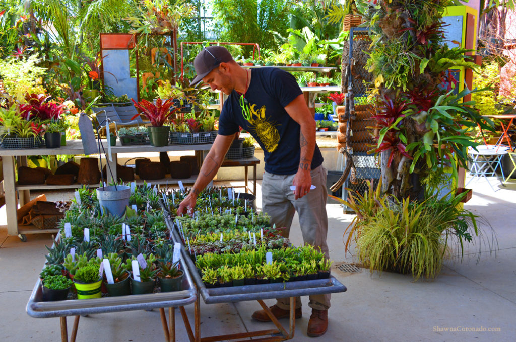 Flora Grubb Gardens Succulent Sorting copyright Shawna Coronado