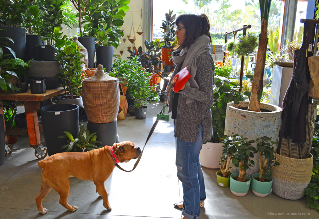 Flora Grubb Shopping with Dog Photo copyright Shawna Coronado