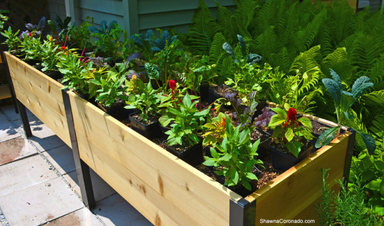 Elevated Planter Box in Garden with Plants