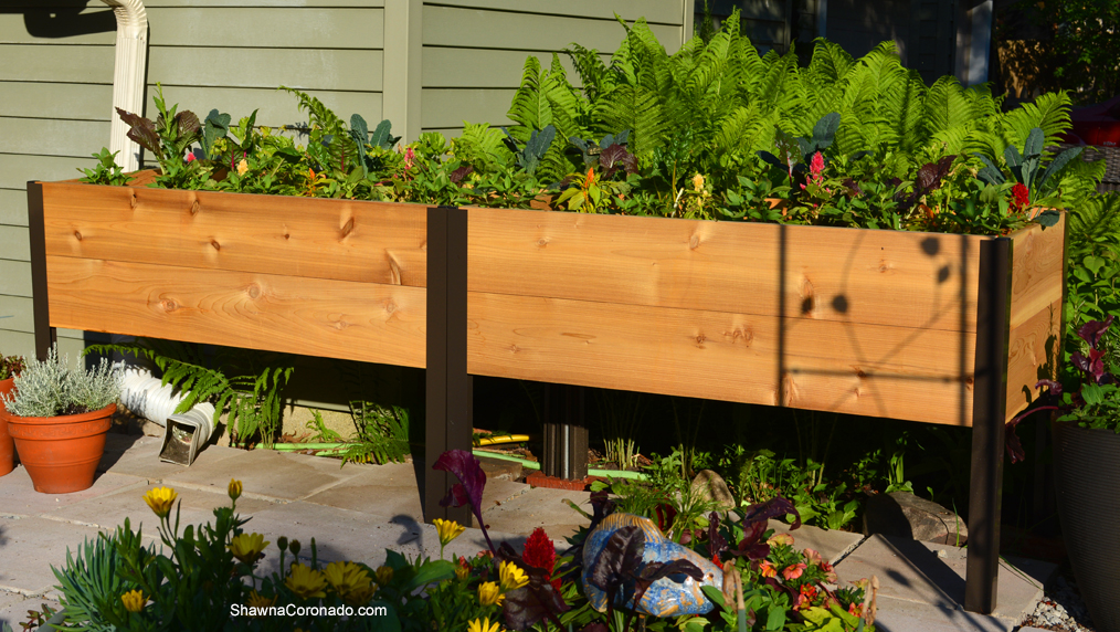 Elevated Planter Box in Garden