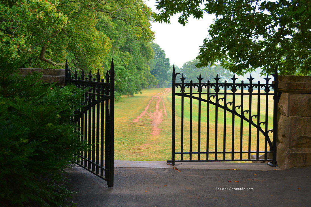 Biltmore Estate Gates