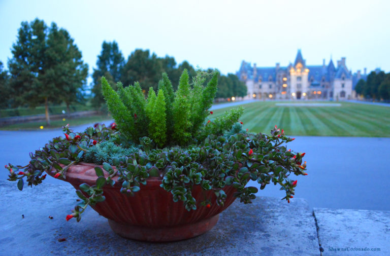 Biltmore Estate at Dawn in Asheville North Carolina