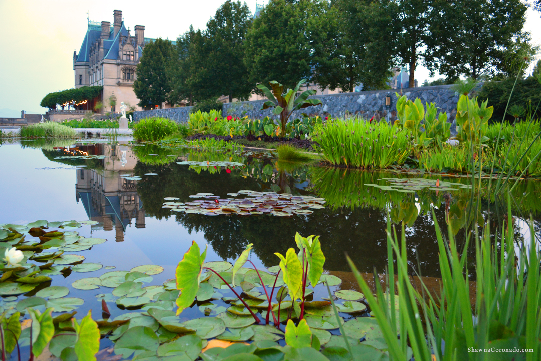 Biltmore Estate at Dawn Italian Gardens Pond